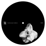 Kangding Ray / Rrose appear on Stroboscopic Artefacts